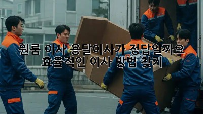 원룸 이사, 용달이사가 정답일까요? 효율적인 이사 방법 찾기
