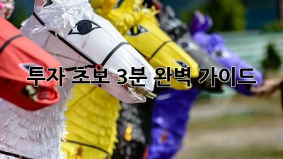 투자 초보, 3분 완벽 가이드!