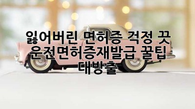 잃어버린 면허증, 걱정 끗! 😎 운전면허증재발급 꿀팁 대방출
